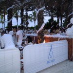 Nikki-Beach-Marbella Nikki-Beach-Marbella