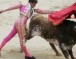 Bullfighting For or Against