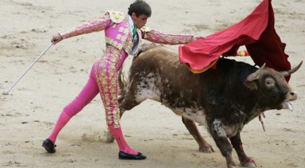 Bullfighting For or Against